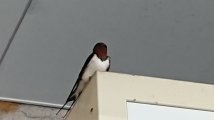 ご参考に