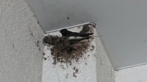ご参考に