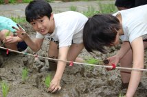 田植え