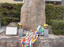 広島からのお便り