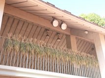 稲刈り