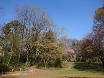 入学式