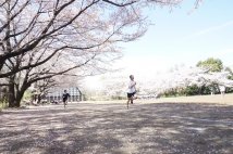 スポーツテスト