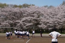 スポーツテスト