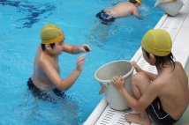 水泳大会