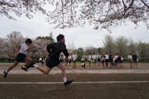 スポーツテスト