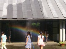 夏が来ました！