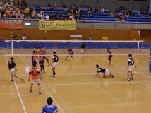 バレーボール部全国大会出場