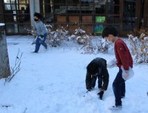 久しぶりの雪でした