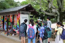 修学旅行