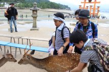 修学旅行