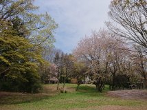 ご参考までに