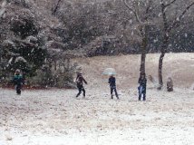 やっぱり雪はうれしいね